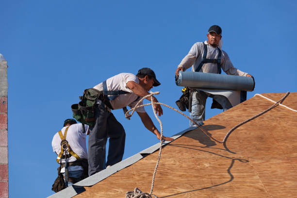 Best Roof Maintenance Services  in Carthage, IL