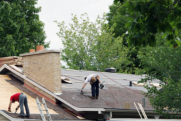 Best Roof Gutter Cleaning  in Carthage, IL