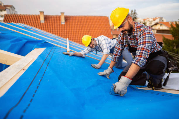 Best Storm Damage Roof Repair  in Carthage, IL