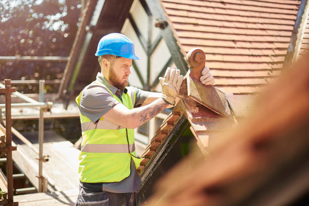 Best Roof Gutter Cleaning  in Carthage, IL