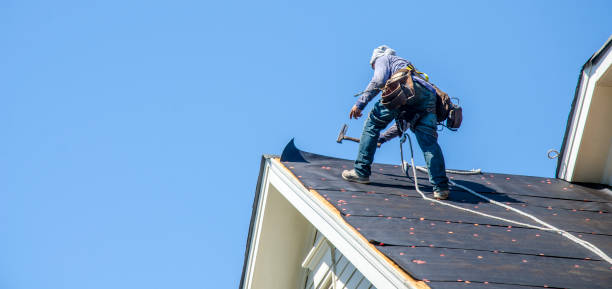 Best Commercial Roofing Services  in Carthage, IL